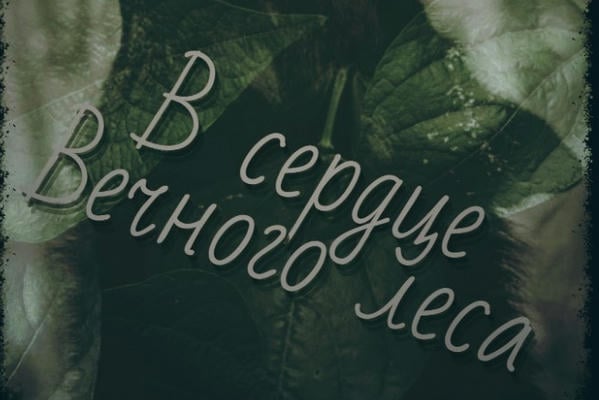 В сердце Вечного Леса