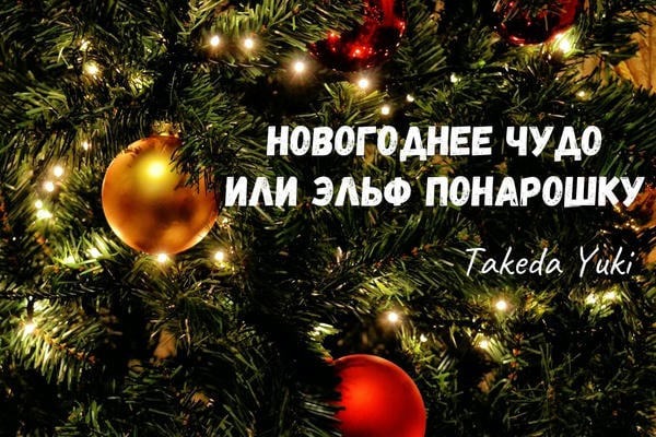 Новогоднее чудо или эльф понарошку