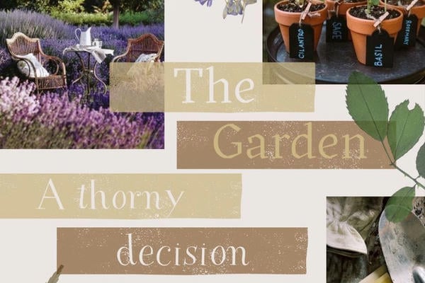 Domestic Harmonies 5: The Garden (A Thorny Decision)/ Домашняя гармония 5: Сад (Тернистое решение)