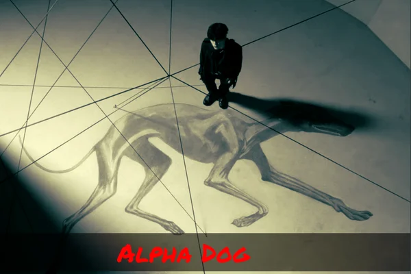 Alpha Dog