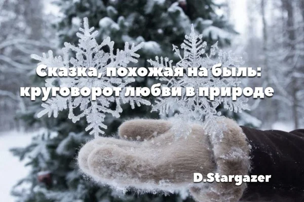Сказка, похожая на быль: круговорот любви в природе.