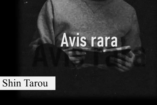 Avis rara