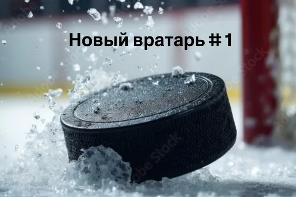 Новый вратарь # 1