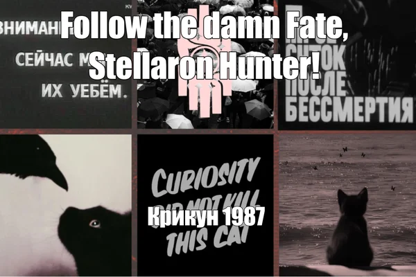 Follow The Damn Fate, Stellaron Hunter!