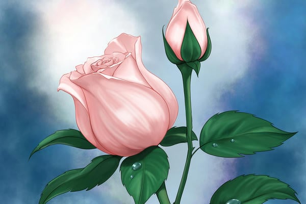 Rosebud