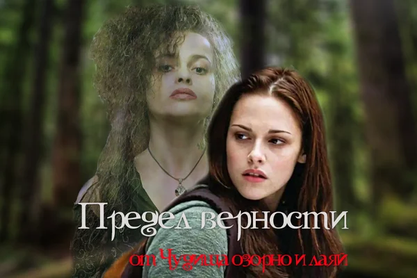 Предел верности