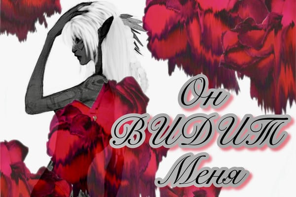 🌊Он Вᥙдᥙᴛ Мᥱня🐦‍🔥