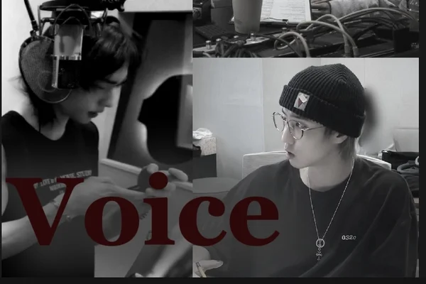 Voice
