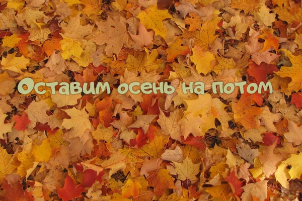 Оставим осень на потом