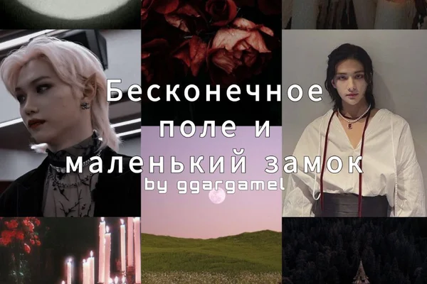 Бесконечное поле и маленький замок