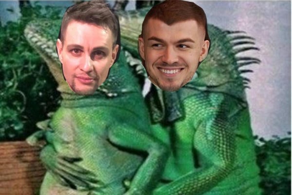 Сексуально заряженные не геи