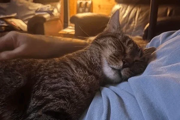Мой личный кошмар