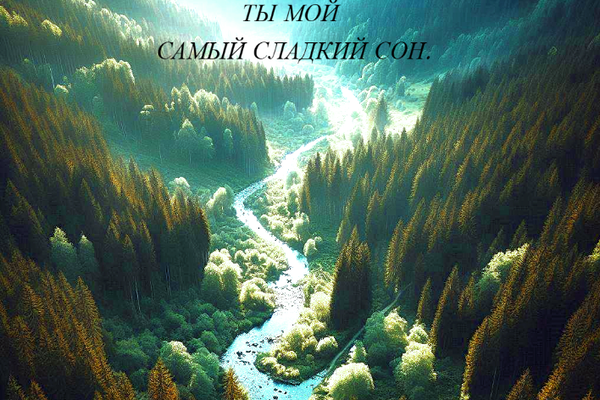 Ты мой самый сладкий сон. 
