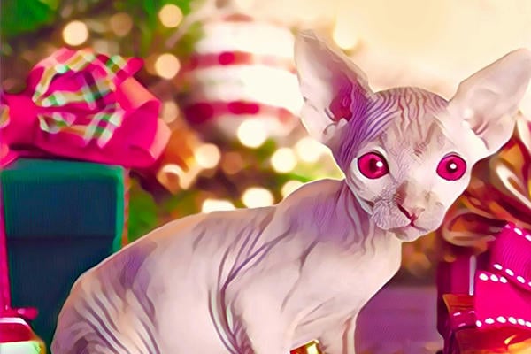 Негениальный план: операция "Корпоратив"