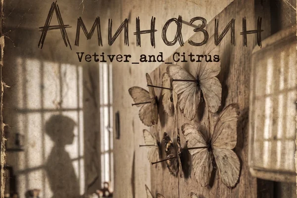 Аминазин/Aminazine