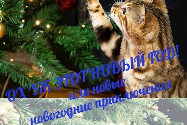 КРИВИЦКИЙ - ПАВЛОВА: ОХ УЖ ЭТОТ НОВЫЙ ГОД!