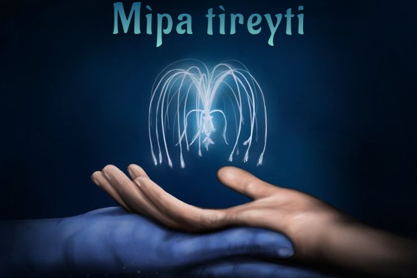 Mìpa tìreyti