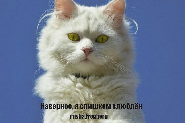 Наверное, я слишком влюблён