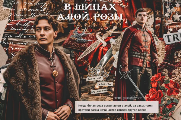 В шипах алой розы