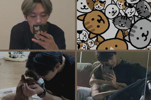 CatsAreCute