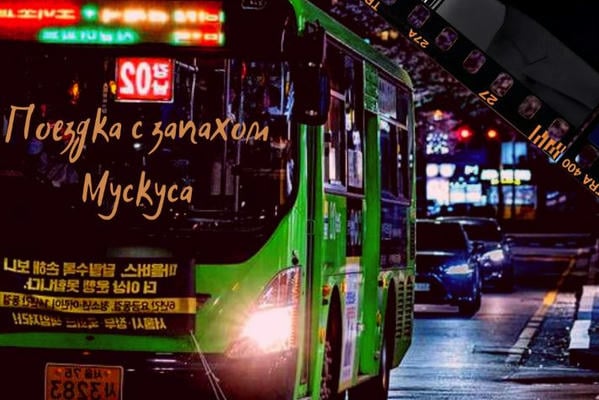 Поездка с запахом Мускуса