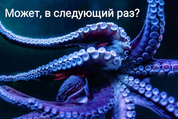 Может, в следующий раз?