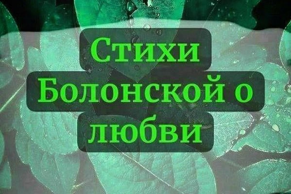 Стихи Болонской о любви