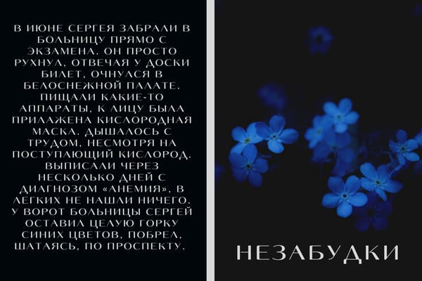 Незабудки