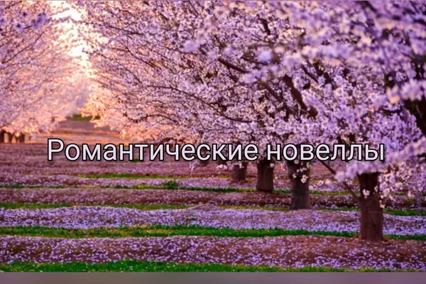Романтические новеллы