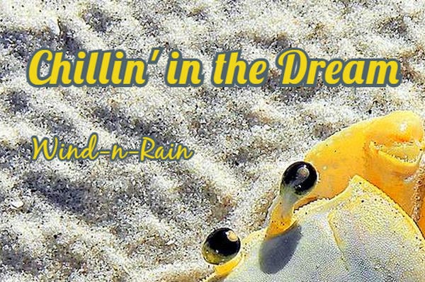 Chillin' in the Dream