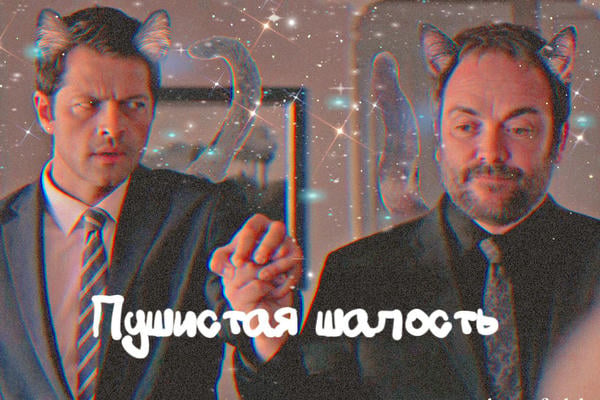 Пушистая шалость.