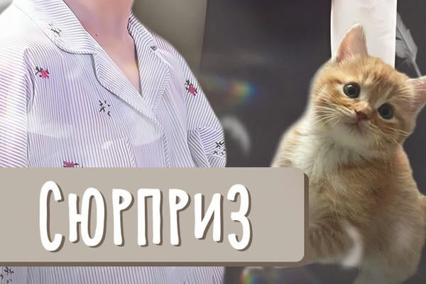 Сюрприз