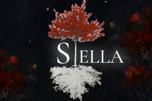 Constellations de Stella