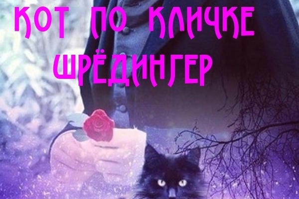 Кот по кличке Шредингер