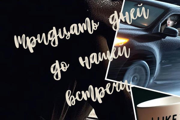 Тридцать дней до нашей встречи
