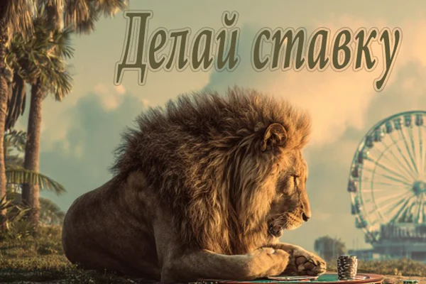 Делай ставку
