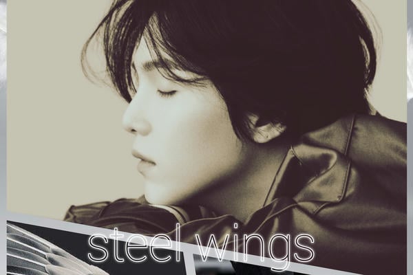 steel wings