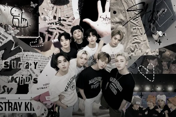"Stray Kids... зарисовки."