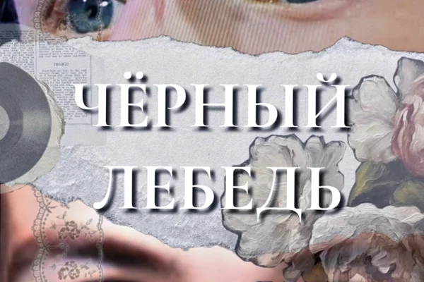 Чёрный лебедь