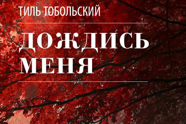 Дождись меня. Сборник эссе