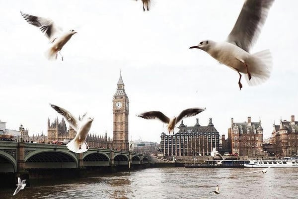 London is the capital of Great Britain