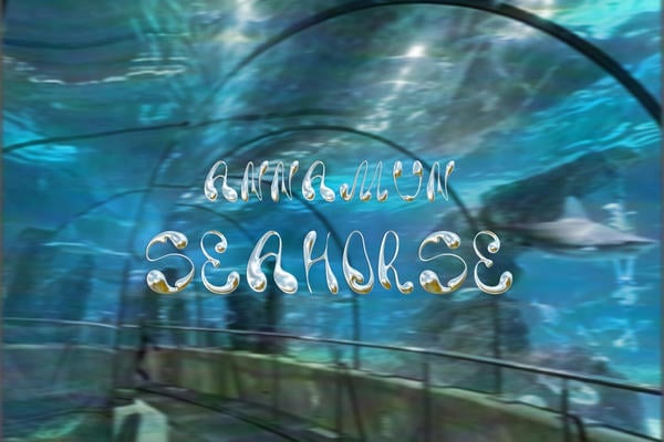 seahorse