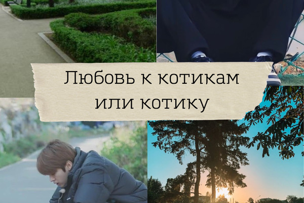 Любовь к котикам или котику