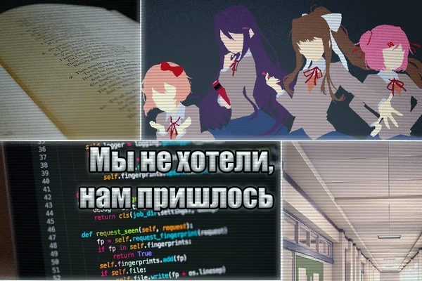 "Мы не хотели, нам пришлось"