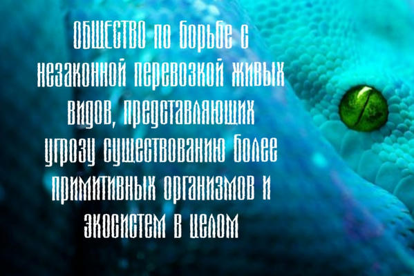 Общество по борьбе с незаконной перевозкой живых видов, представляющих угрозу существованию более примитивных организмов и экосистем в целом
