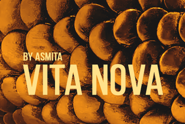 Vita nova