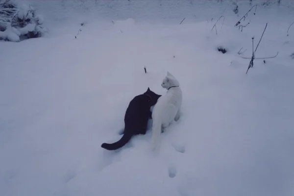 Ты удивительна, Искра