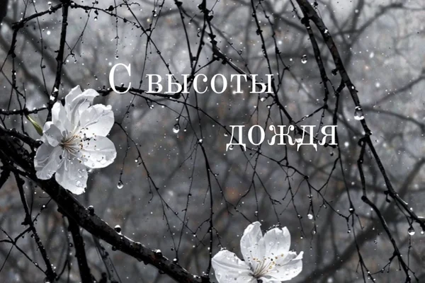 С высоты дождя