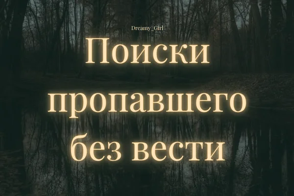 Поиски пропавшего без вести
