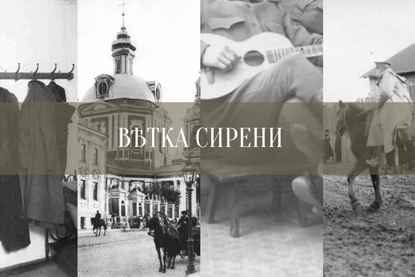 Ветка сирени